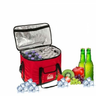 Red cooler bag filled with beverages, surrounded by fruits and ice.